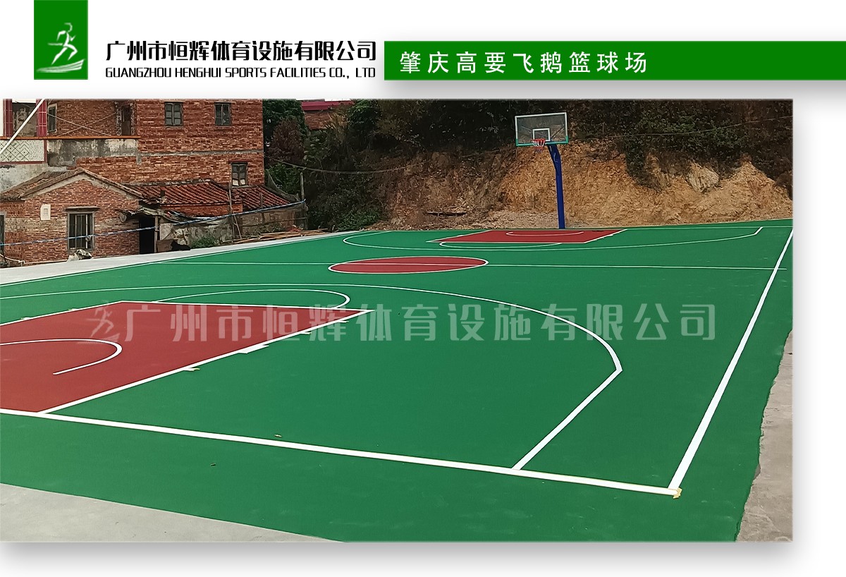 肇庆高要飞鹅